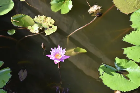 应用界面：数据分析面板